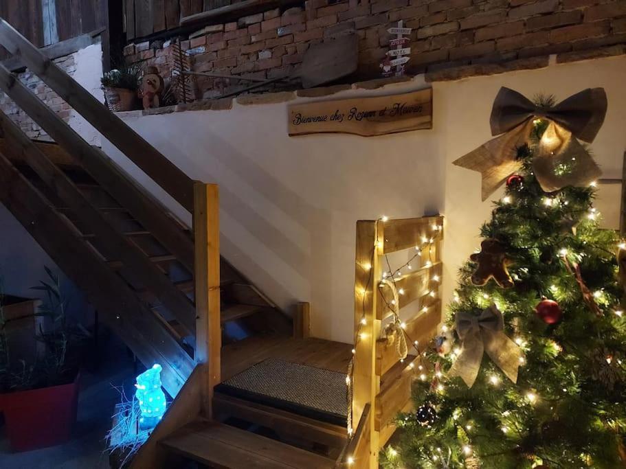 Apartament Chez Rozenn Et Mewen Romanswiller Zewnętrze zdjęcie