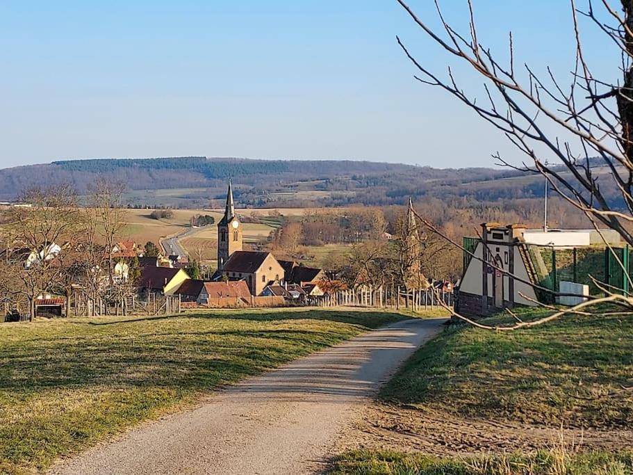 Apartament Chez Rozenn Et Mewen Romanswiller Zewnętrze zdjęcie